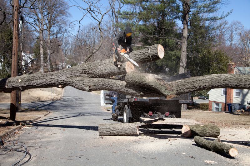 Dead Tree Removal in Bucks County, PA