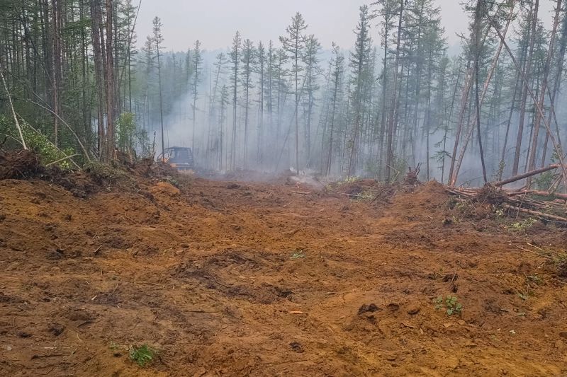 Bulldozer Clearing in Gwinnett County, GA