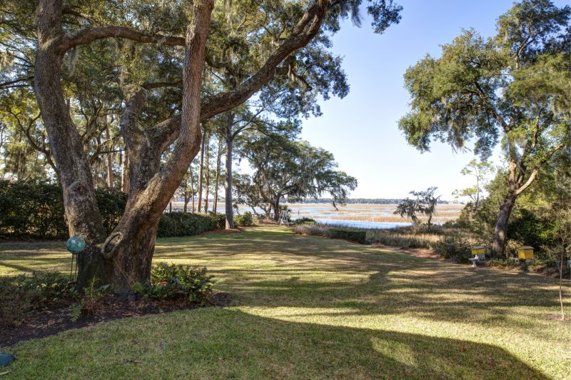 Bushes Clearing in Katy, TX