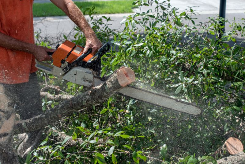 Commercial Tree Trimming in Pottstown, PA