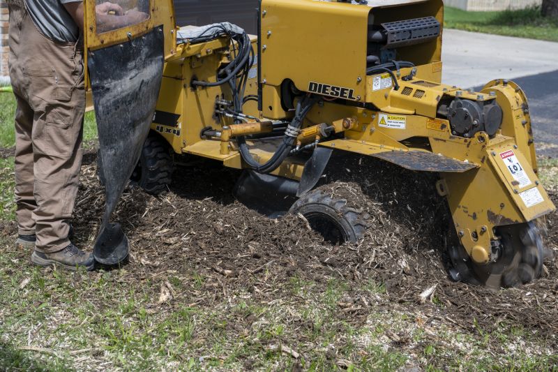 Stump Removal Equipment