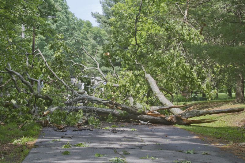 Clearing Debris from Roadway