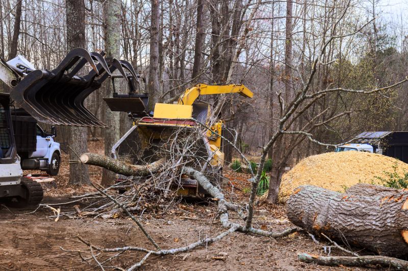 Disposal of Tree Debris