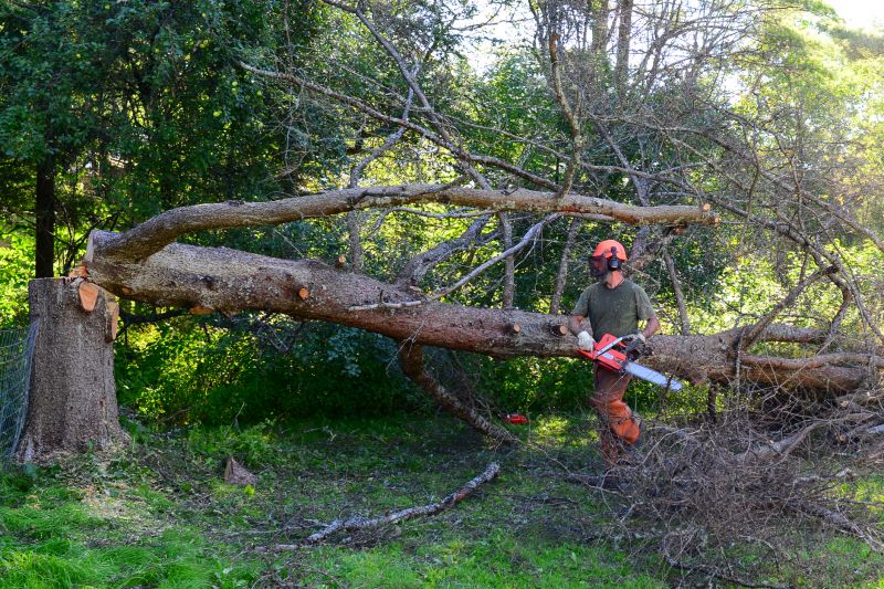 Fallen Tree Removal in Montgomery County, PA