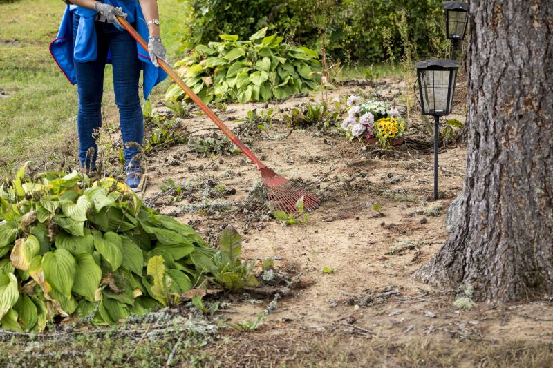 Ground Clearing in Gwinnett County, GA