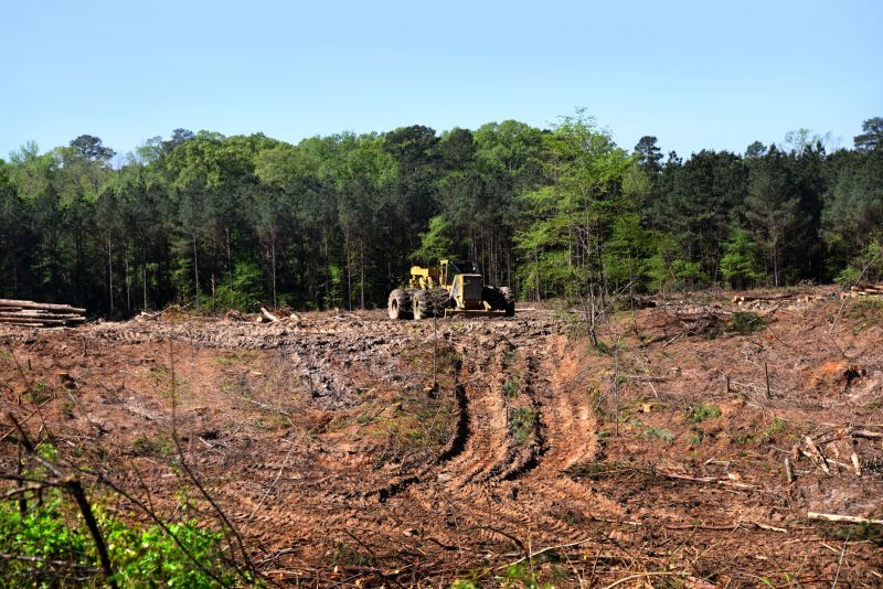 Land Clearing in Katy, TX