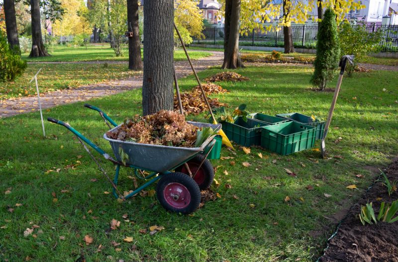 Site Clearing Service in Gwinnett County, GA