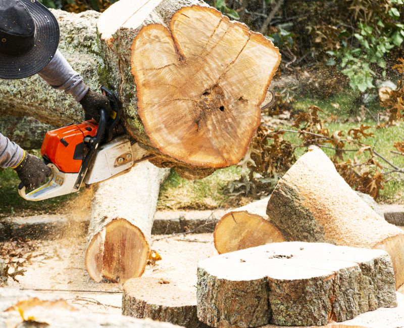 Tree Removal Service in Duluth, MN