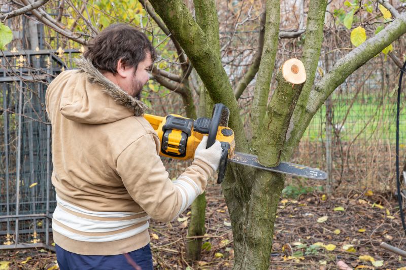 Tree Service in Pottstown, PA